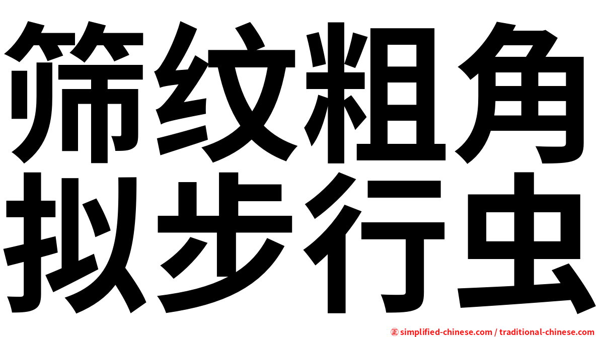 筛纹粗角拟步行虫