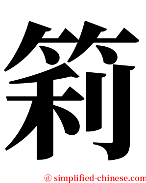 筣 serif font