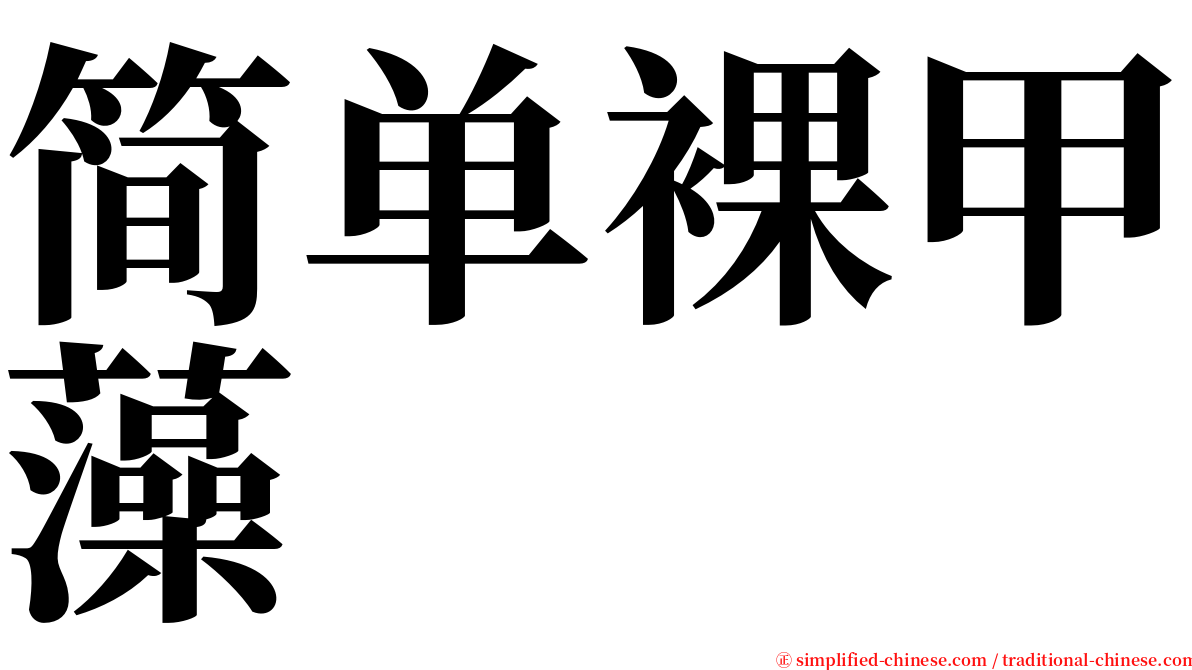 简单裸甲藻 serif font