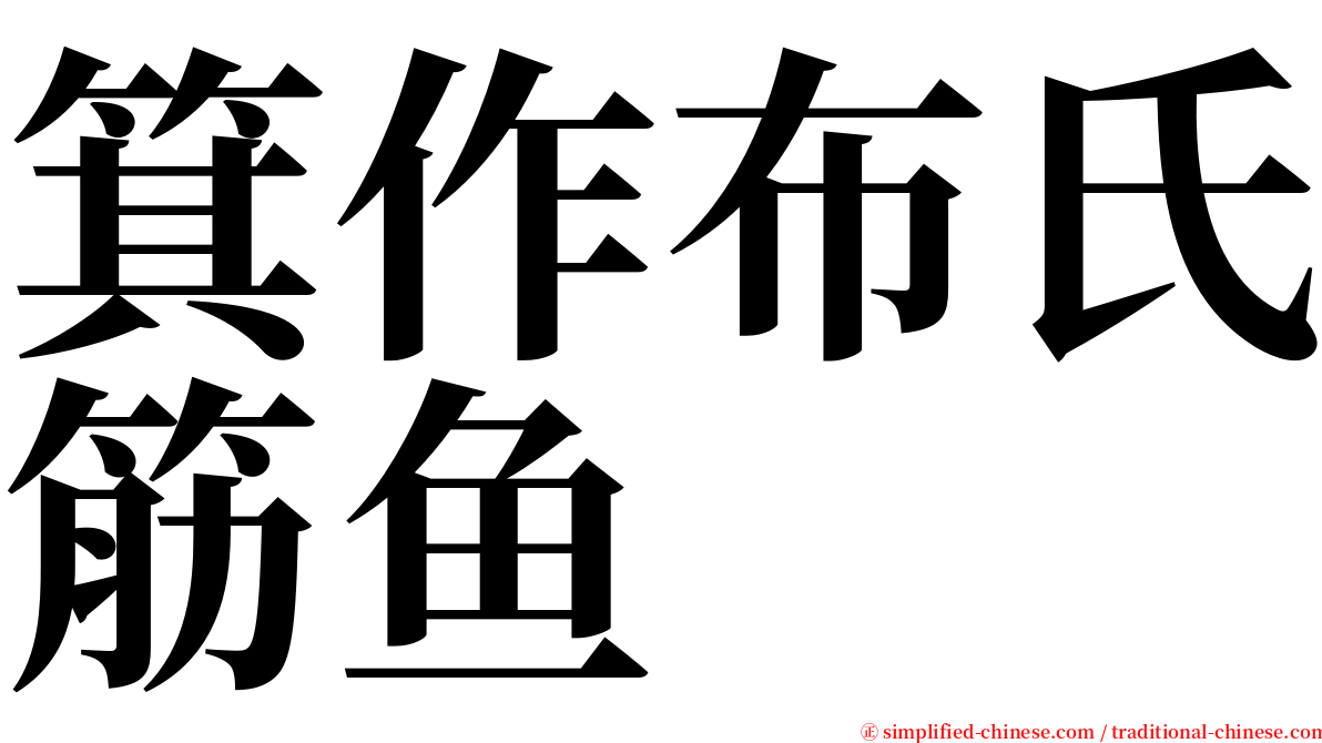 箕作布氏筋鱼 serif font