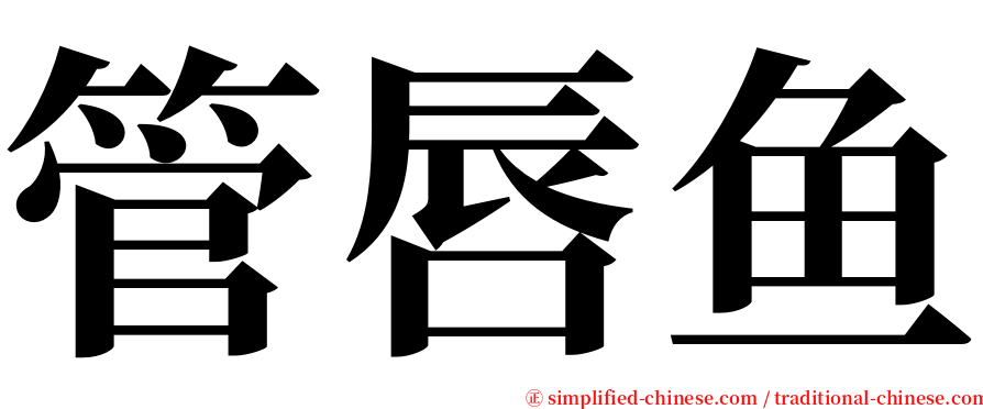 管唇鱼 serif font