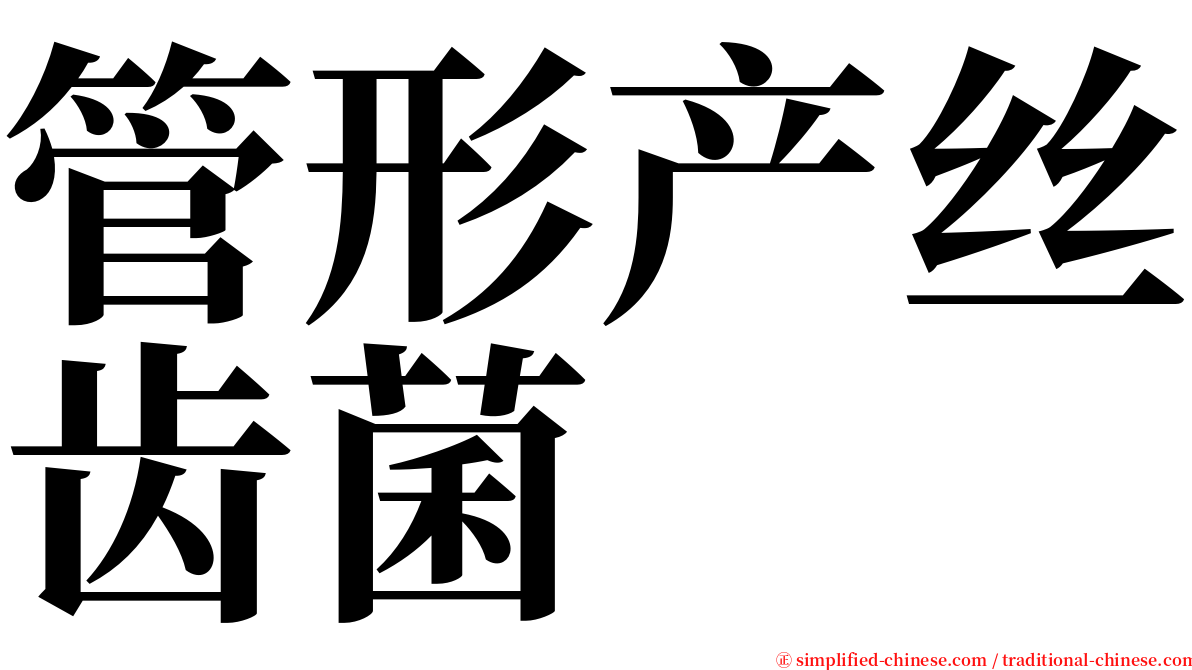 管形产丝齿菌 serif font