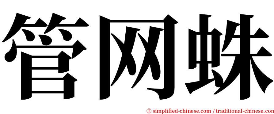 管网蛛 serif font