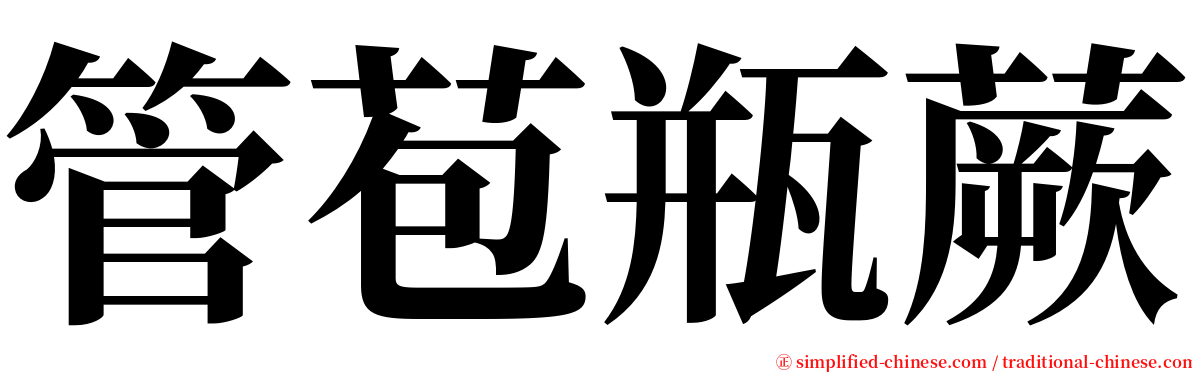 管苞瓶蕨 serif font