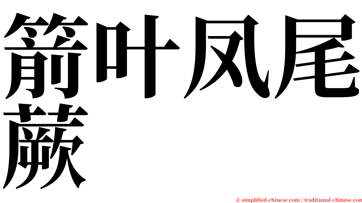 箭叶凤尾蕨 serif font