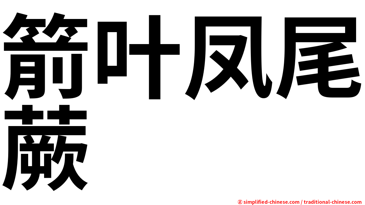 箭叶凤尾蕨