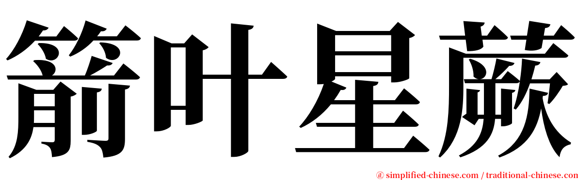 箭叶星蕨 serif font