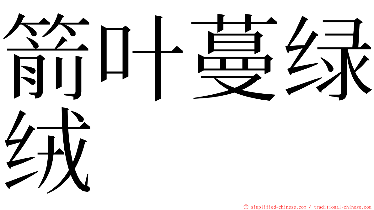 箭叶蔓绿绒 ming font