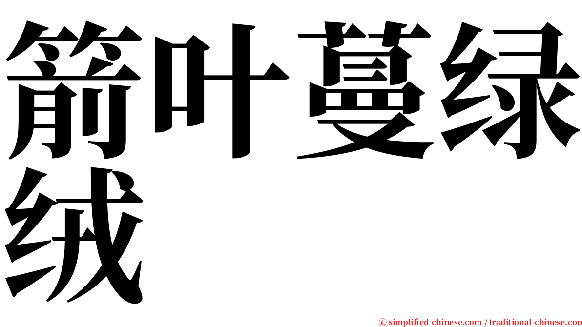 箭叶蔓绿绒 serif font