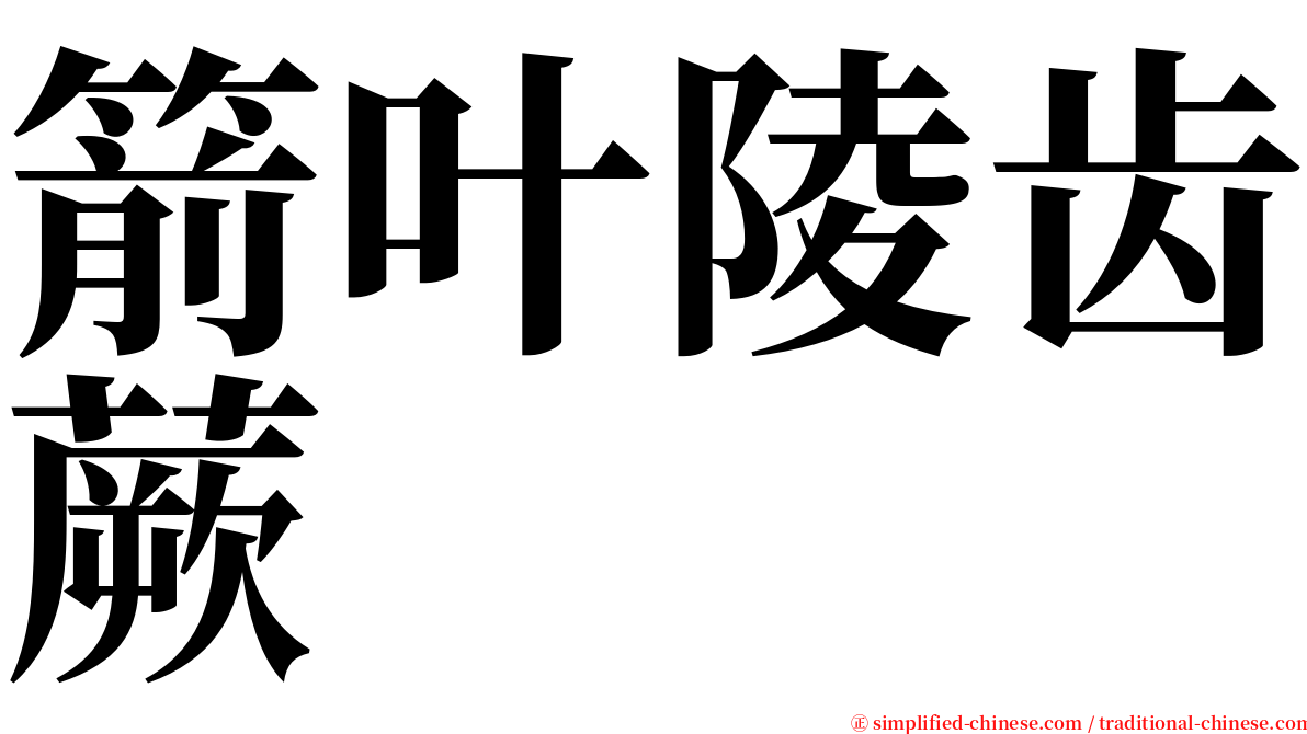 箭叶陵齿蕨 serif font