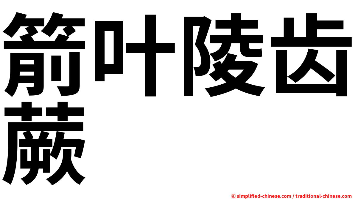 箭叶陵齿蕨