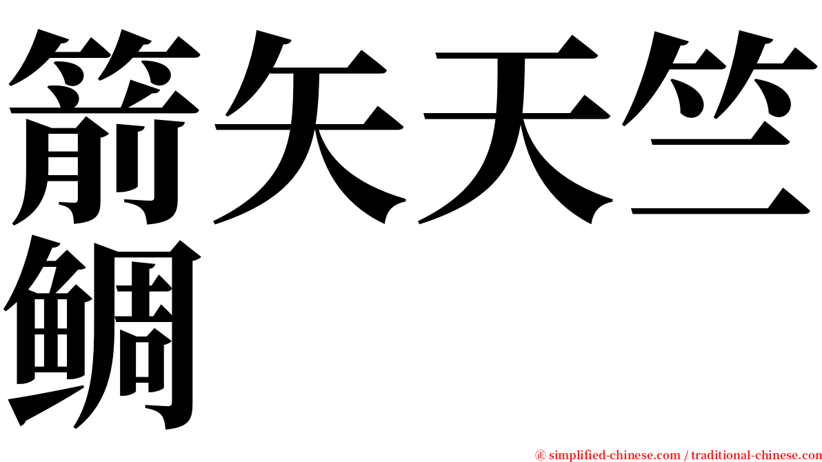 箭矢天竺鲷 serif font