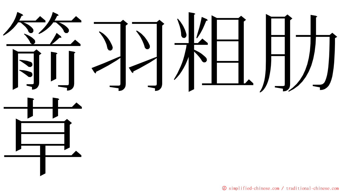 箭羽粗肋草 ming font