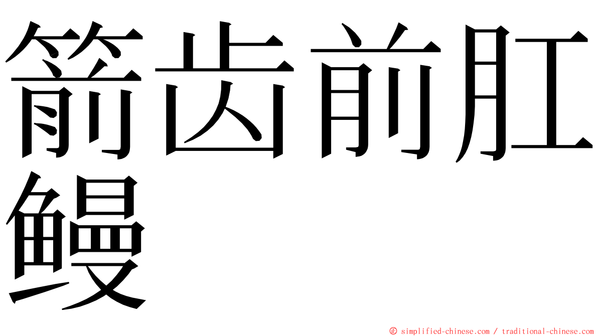 箭齿前肛鳗 ming font