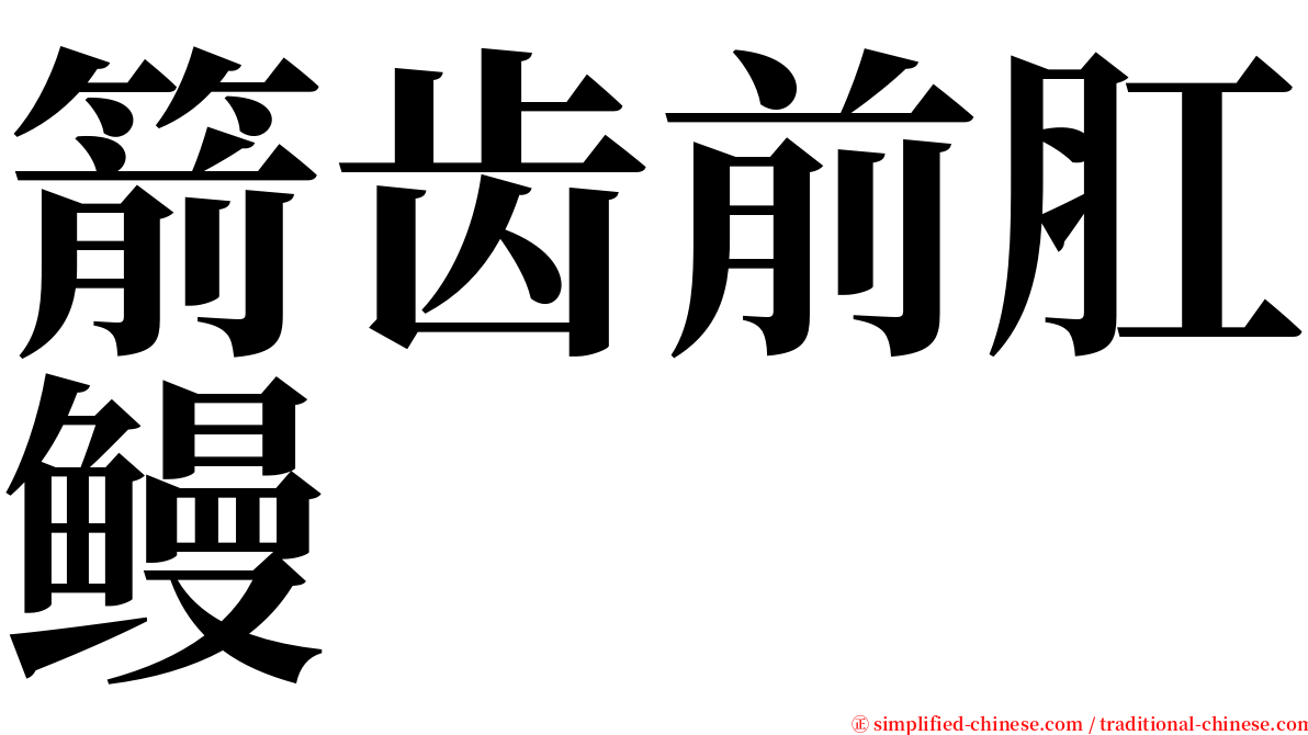 箭齿前肛鳗 serif font