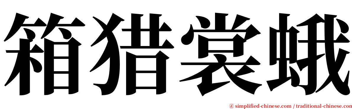 箱猎裳蛾 serif font