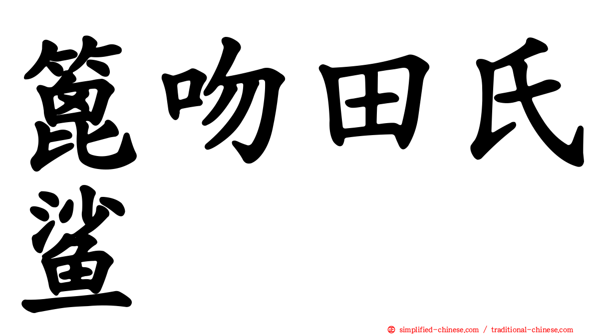 篦吻田氏鲨