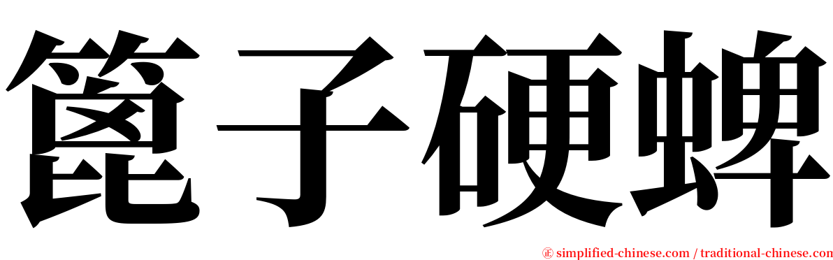 篦子硬蜱 serif font