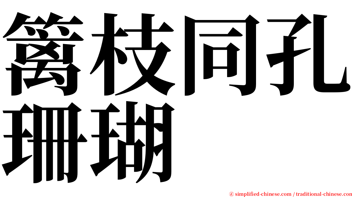 篱枝同孔珊瑚 serif font