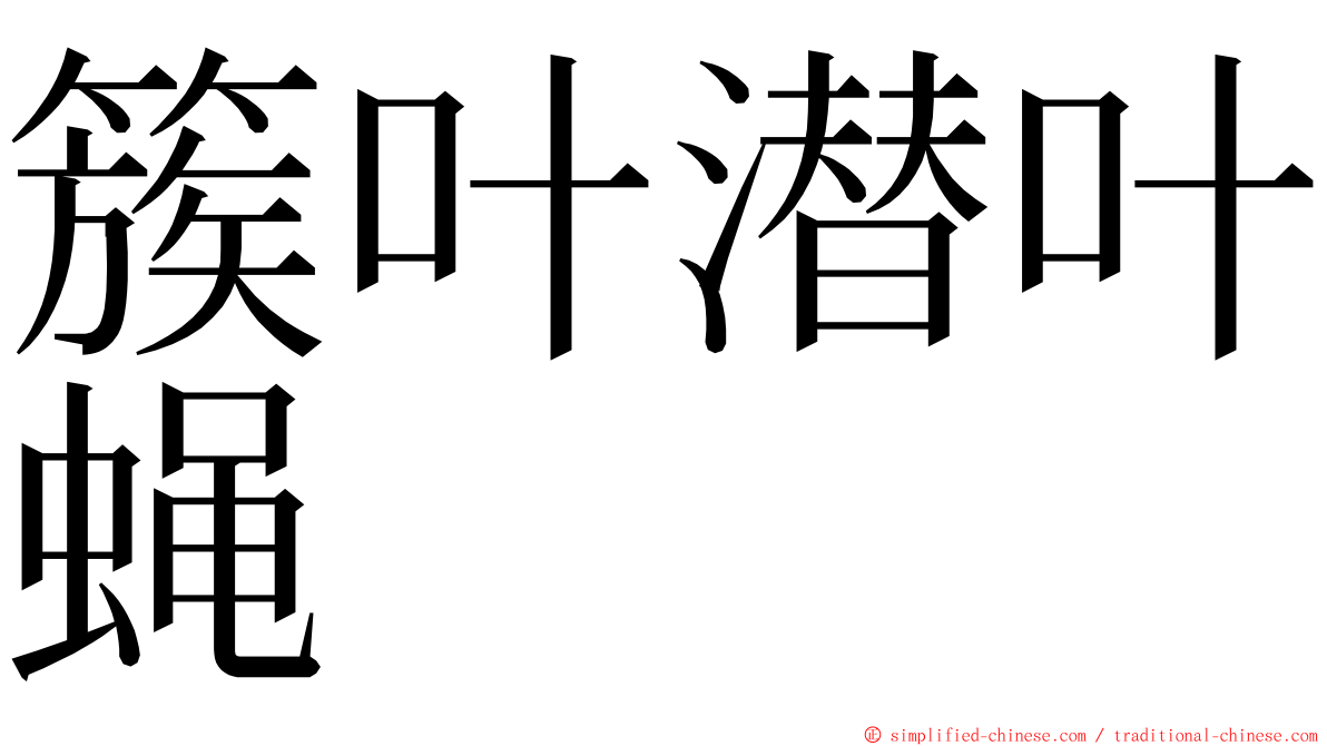 簇叶潜叶蝇 ming font