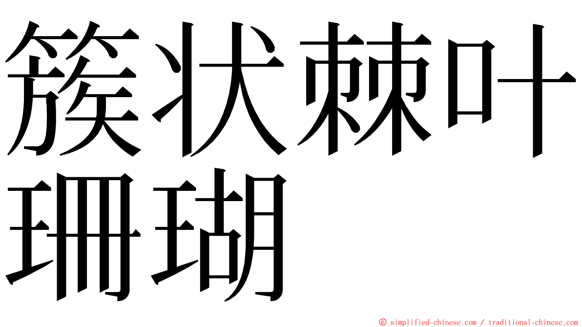 簇状棘叶珊瑚 ming font