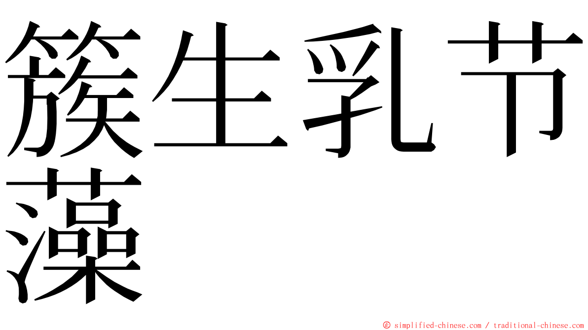 簇生乳节藻 ming font