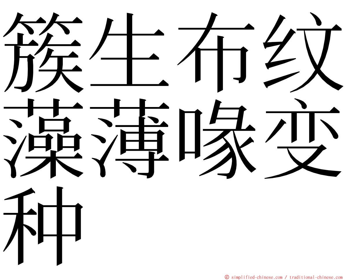 簇生布纹藻薄喙变种 ming font