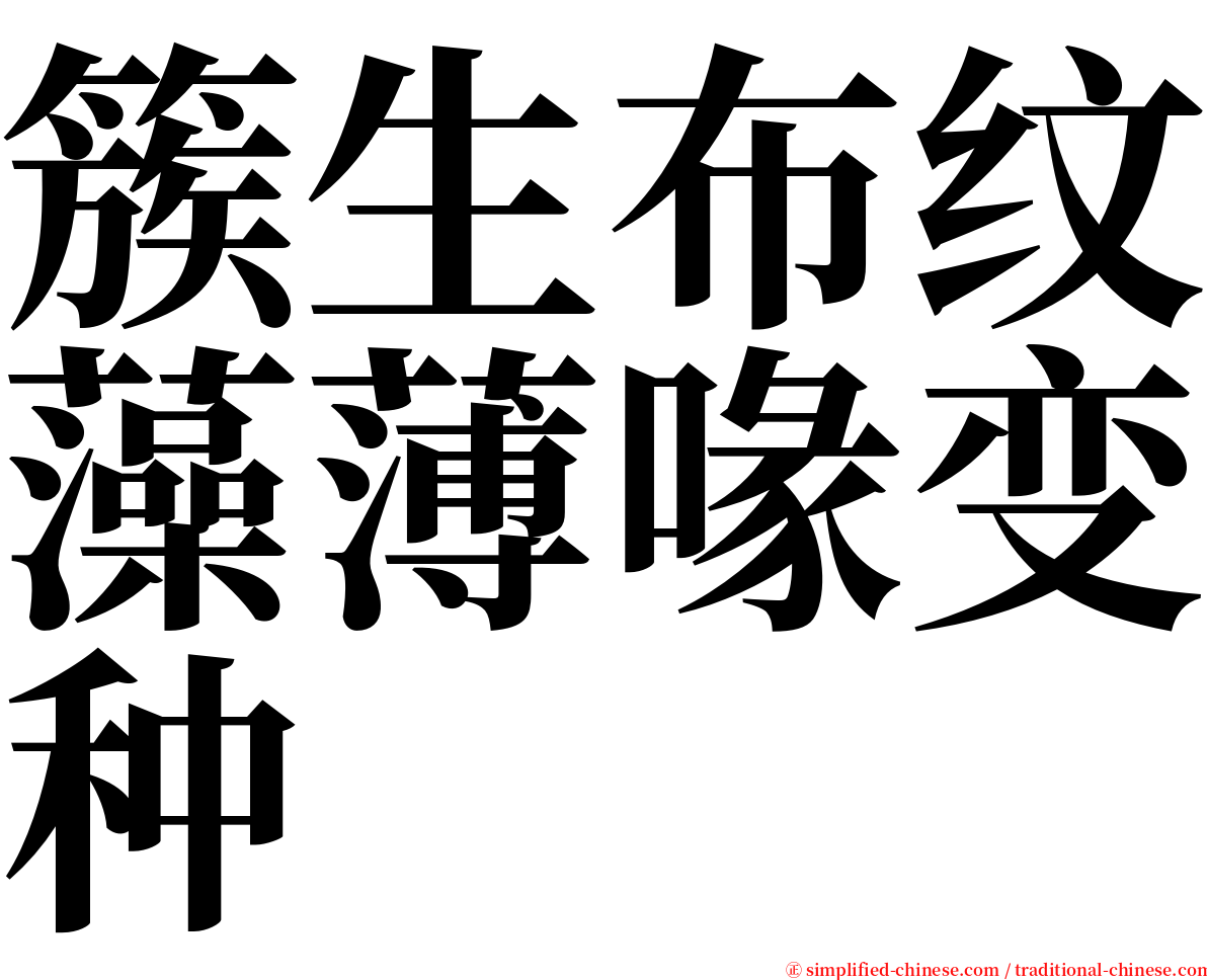 簇生布纹藻薄喙变种 serif font