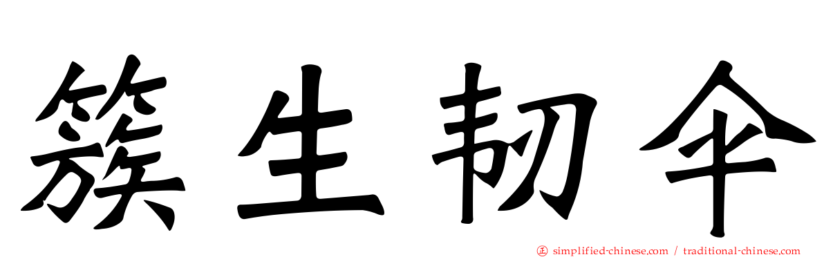 簇生韧伞