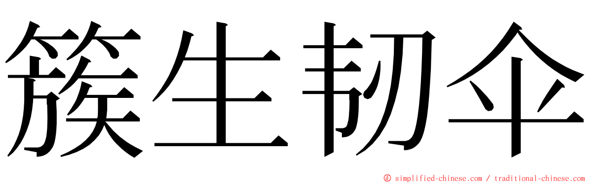 簇生韧伞 ming font