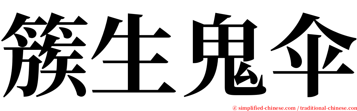 簇生鬼伞 serif font