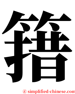 簎 serif font