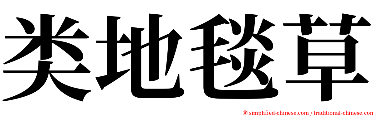 类地毯草 serif font