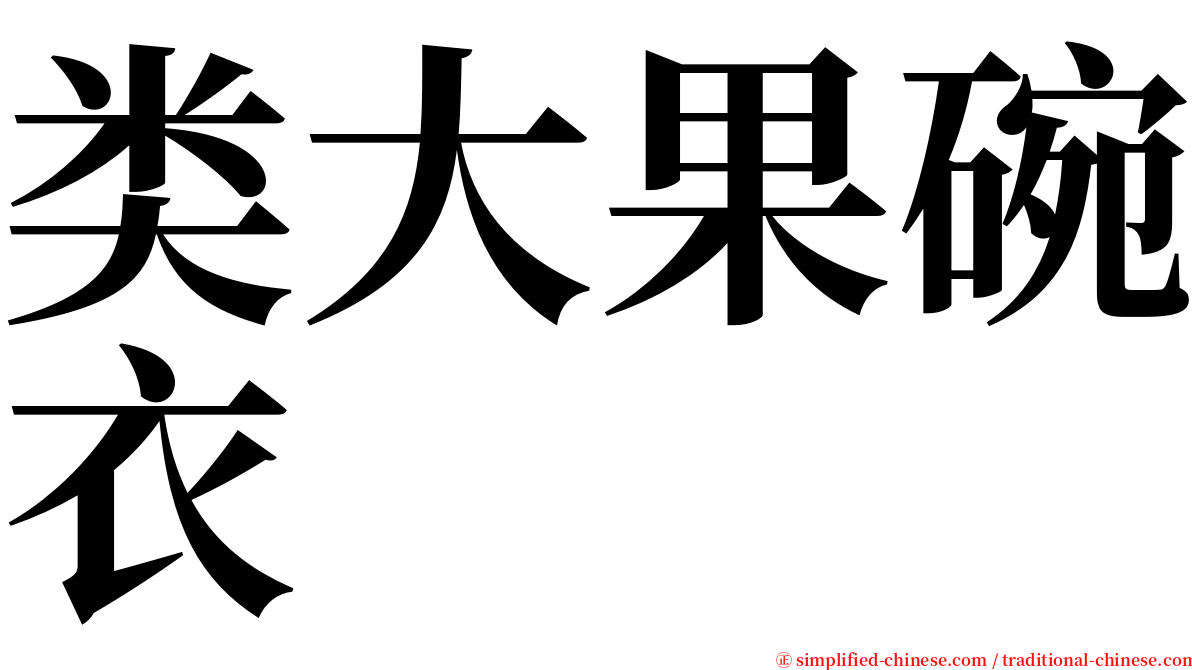 类大果碗衣 serif font