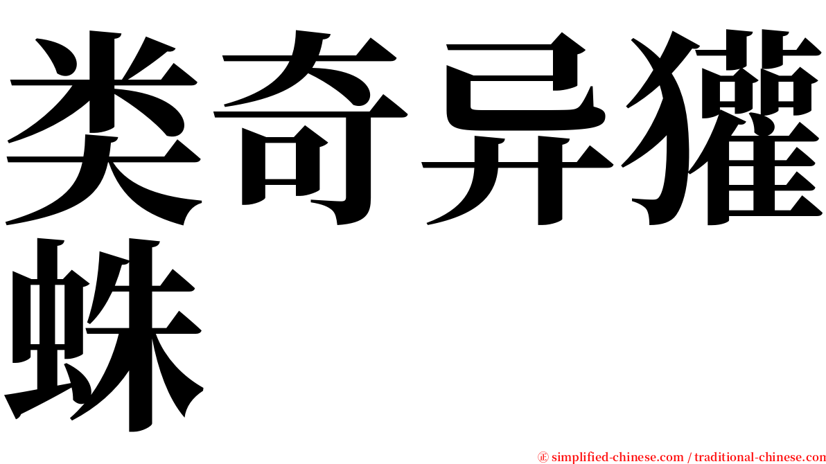 类奇异獾蛛 serif font