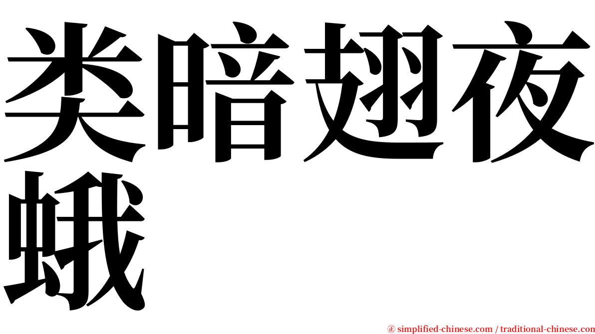 类暗翅夜蛾 serif font