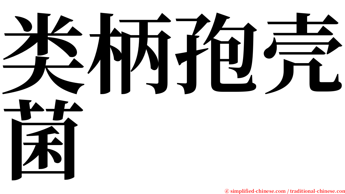 类柄孢壳菌 serif font