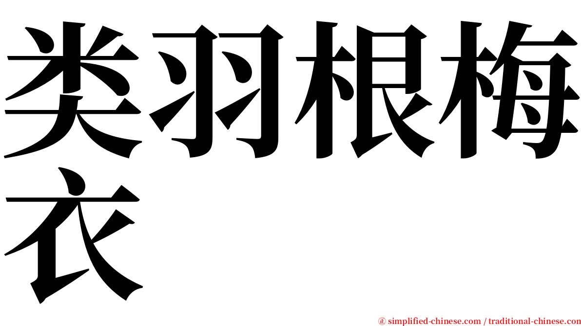 类羽根梅衣 serif font