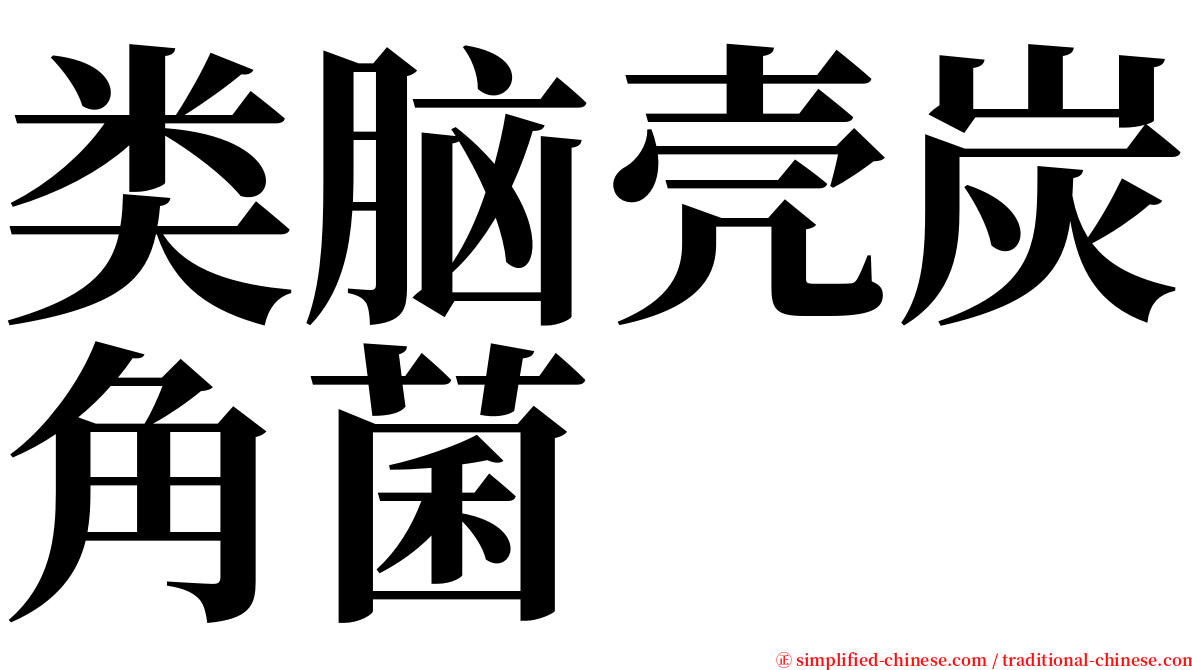 类脑壳炭角菌 serif font