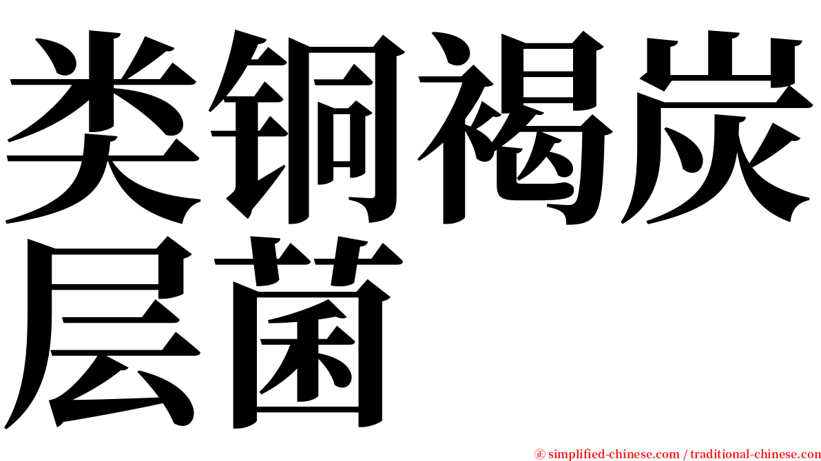 类铜褐炭层菌 serif font