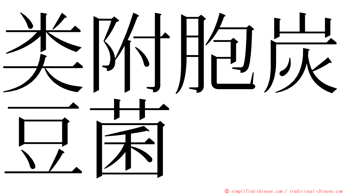 类附胞炭豆菌 ming font