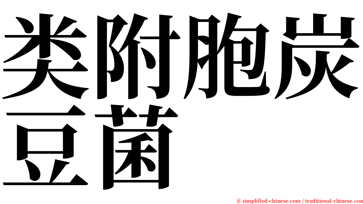 类附胞炭豆菌 serif font