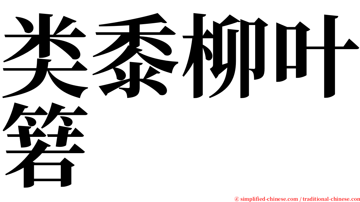 类黍柳叶箬 serif font