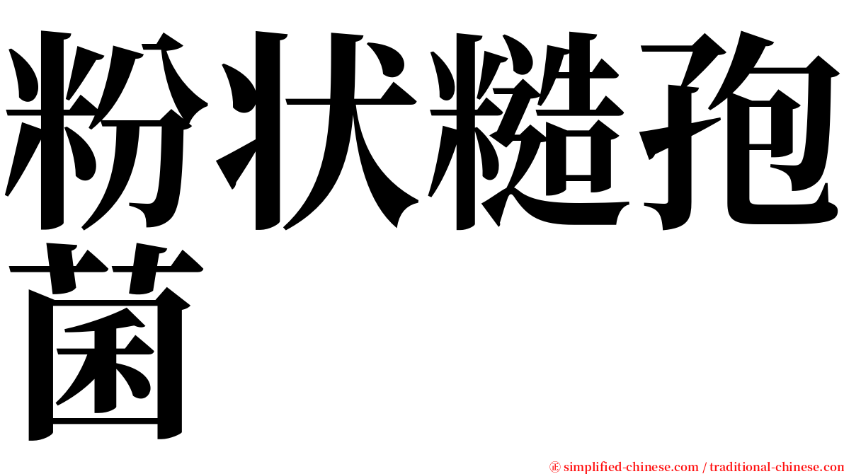 粉状糙孢菌 serif font