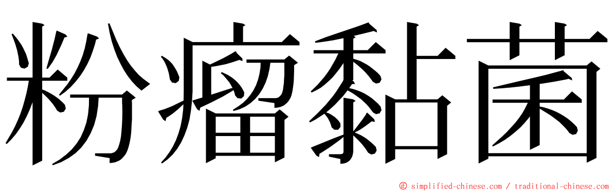 粉瘤黏菌 ming font