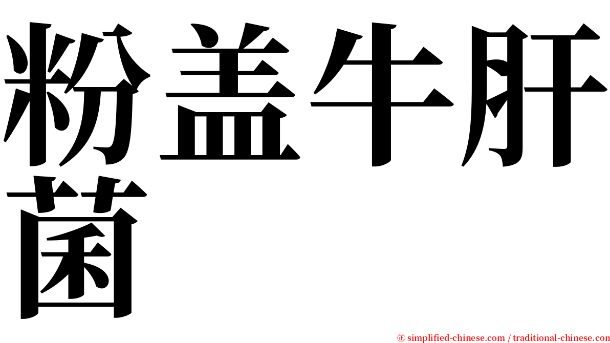 粉盖牛肝菌 serif font