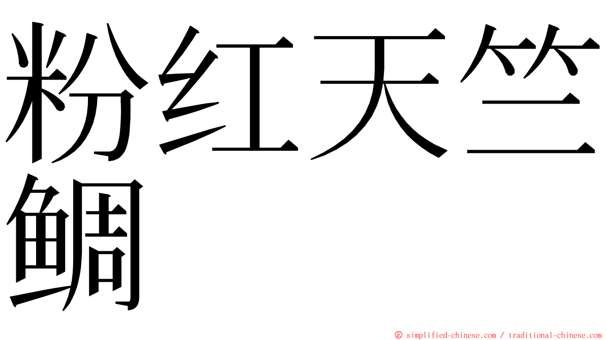 粉红天竺鲷 ming font