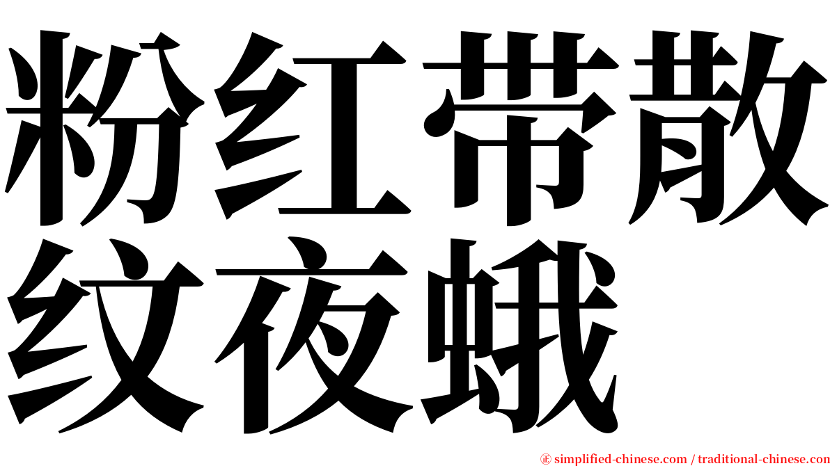 粉红带散纹夜蛾 serif font