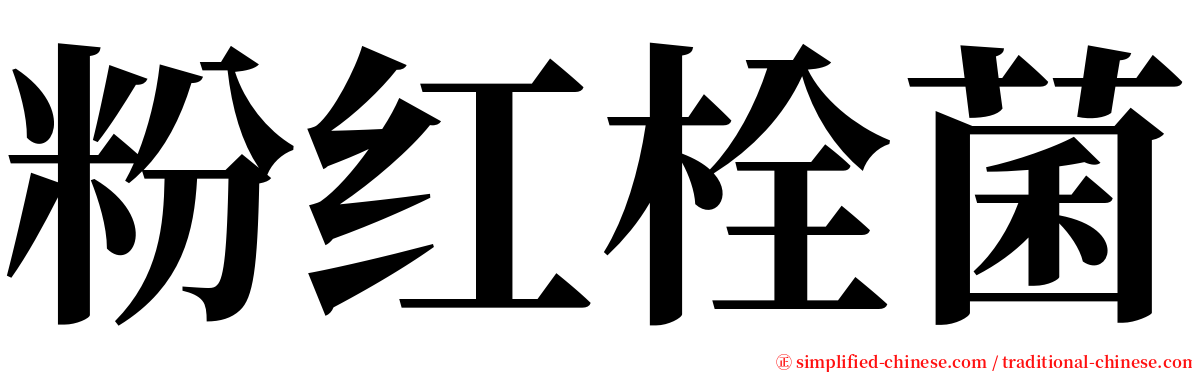 粉红栓菌 serif font