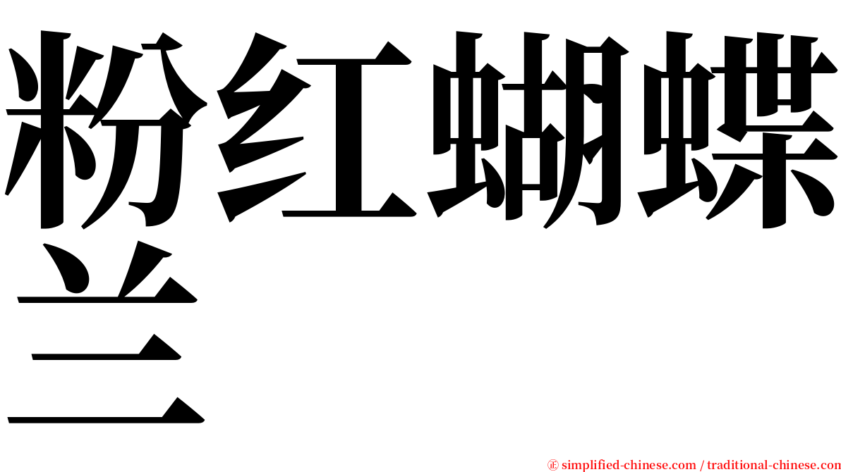 粉红蝴蝶兰 serif font